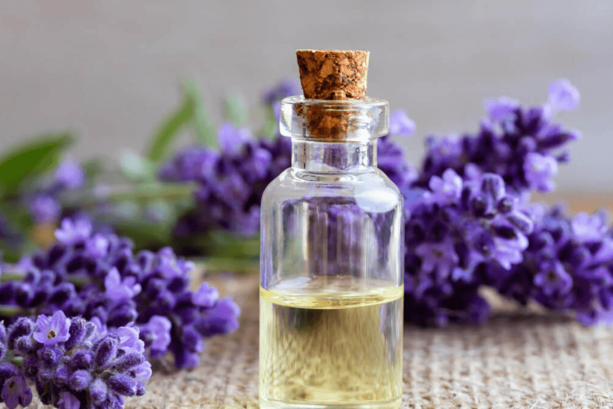 &auml;therisches Lavendel&ouml;l Pferd